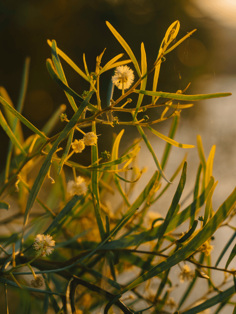 Art & Photography Walk