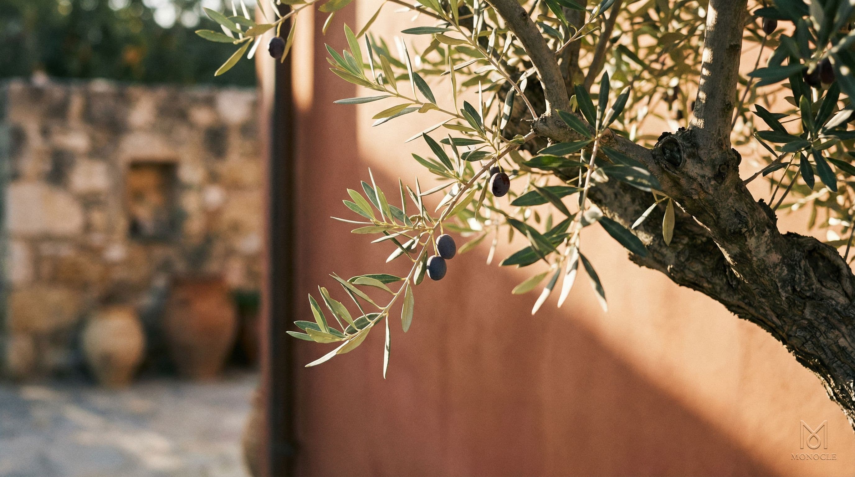 Cyprus Seasons: Best Time to Visit Cyprus